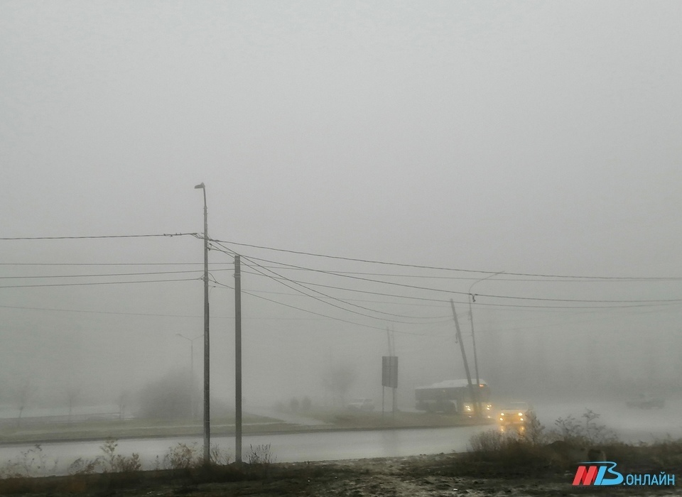 Жителей Волгоградской области предупредили о тумане на дорогах