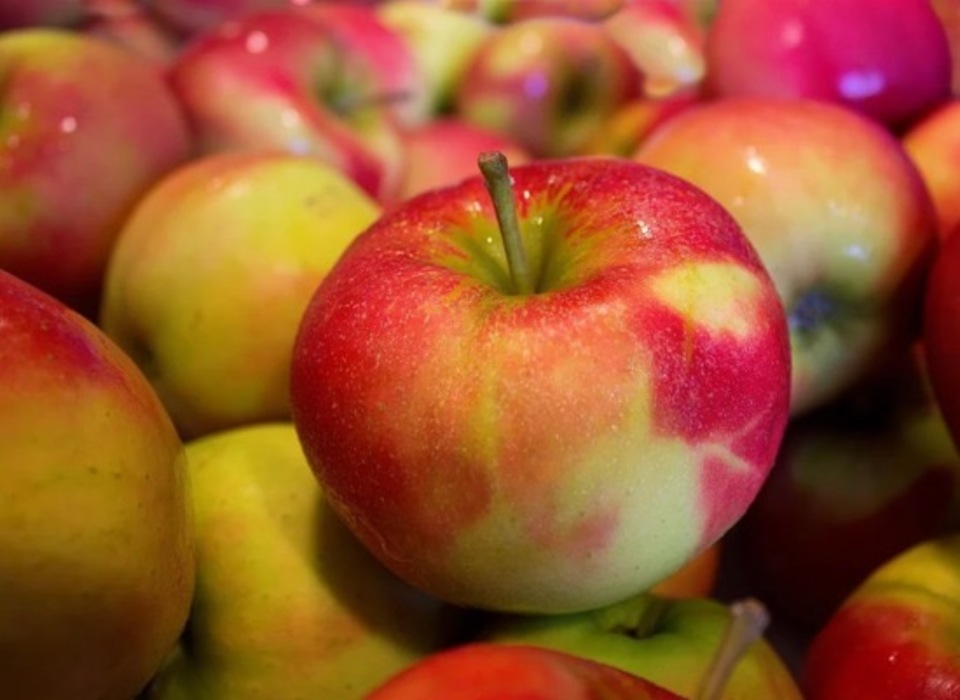 18 тонн яблок из Грузии привезли в Волгоградскую область