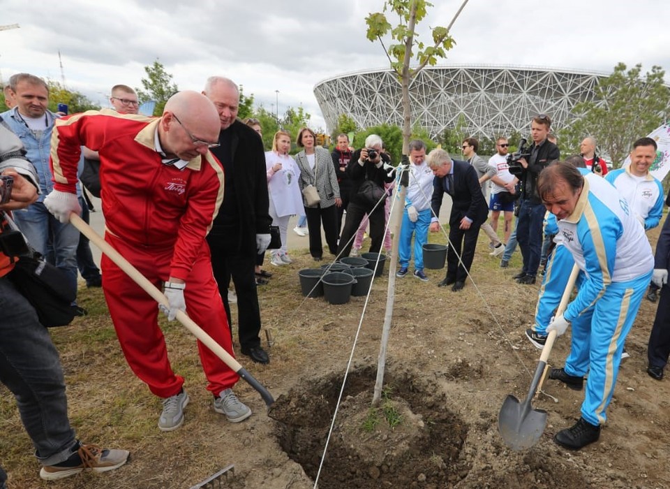 Ветераны и участники ретроматча высадили деревья в парке Волгограда