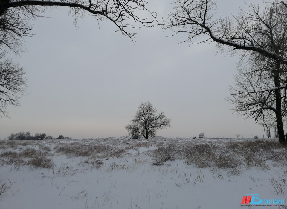 В Волгоградской области 23 января похолодало до -25º