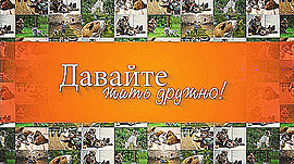 Как животные в Волгограде справляются с морозами • Давайте жить дружно, выпуск от 21 января